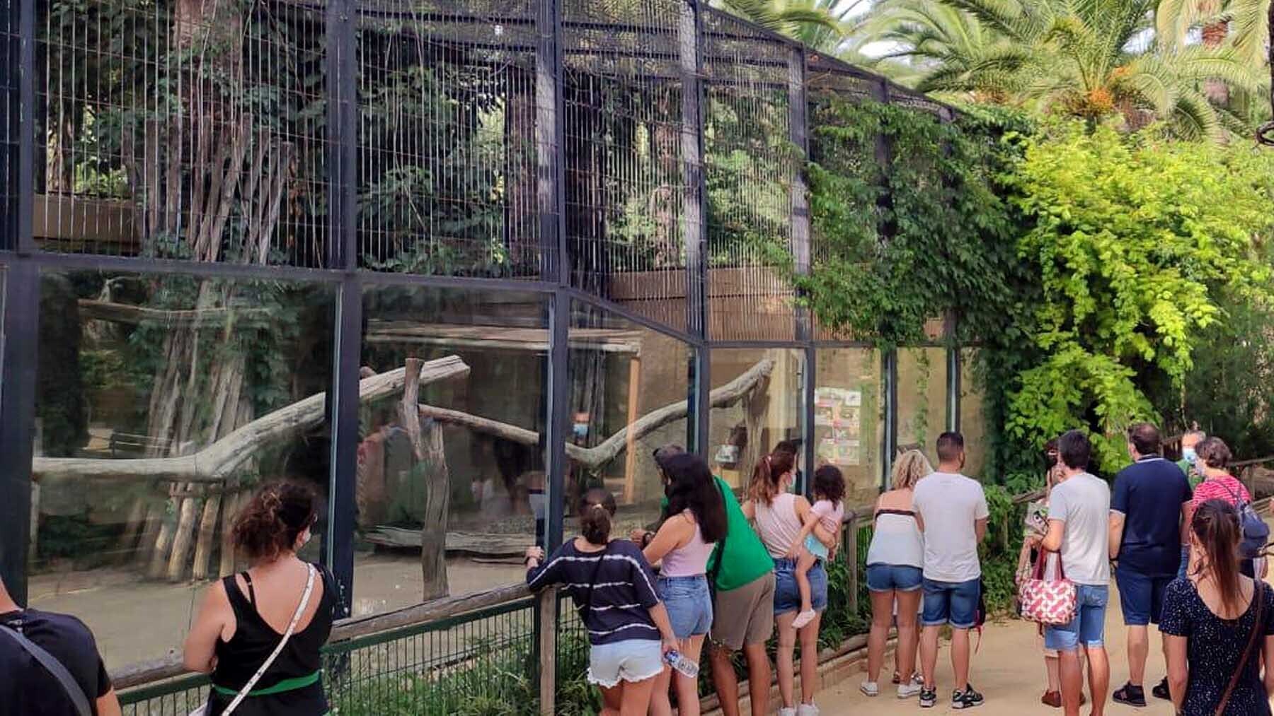 Paseos al atardecer en el Zoobotánico-min
