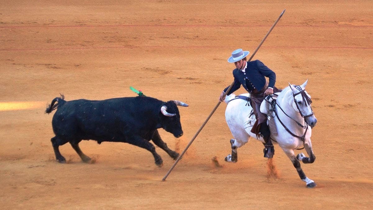 Sebastián Fernández