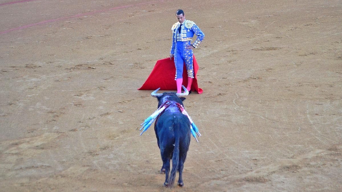 4 Manzanares de frente