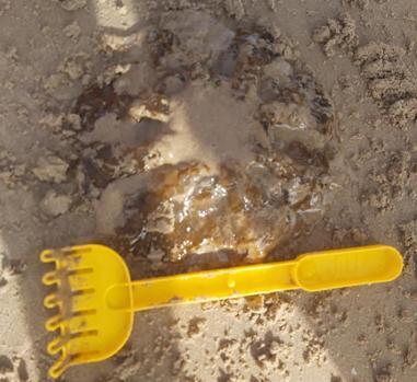 medusa igual que rastrillo