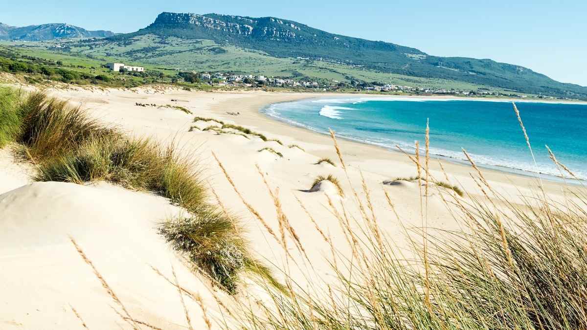 Playa de Bolonia en Cádiz