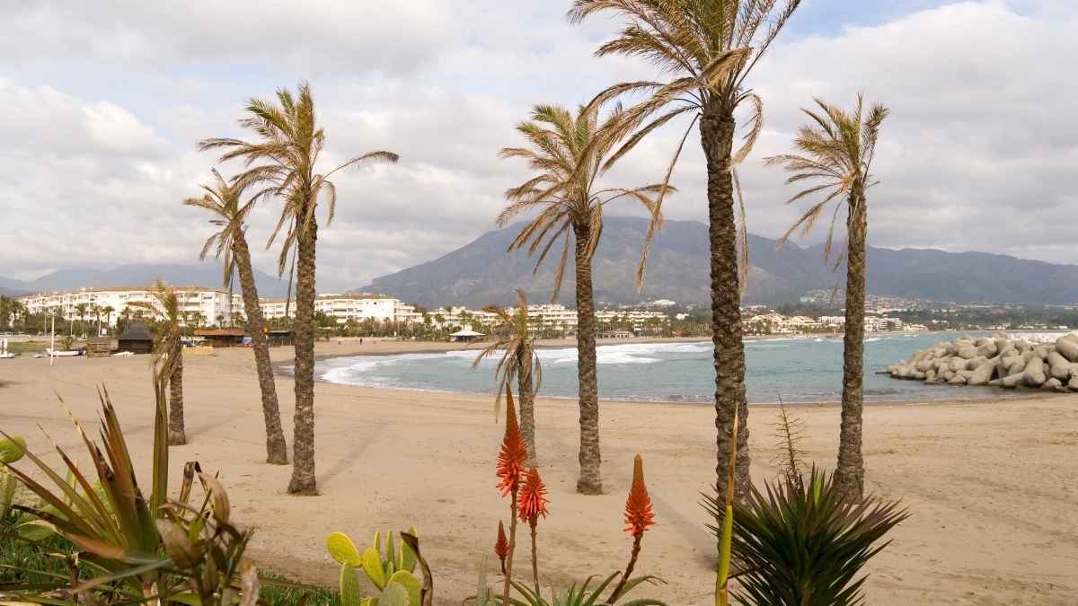 Playa de la Levante EN Puerto Banús
