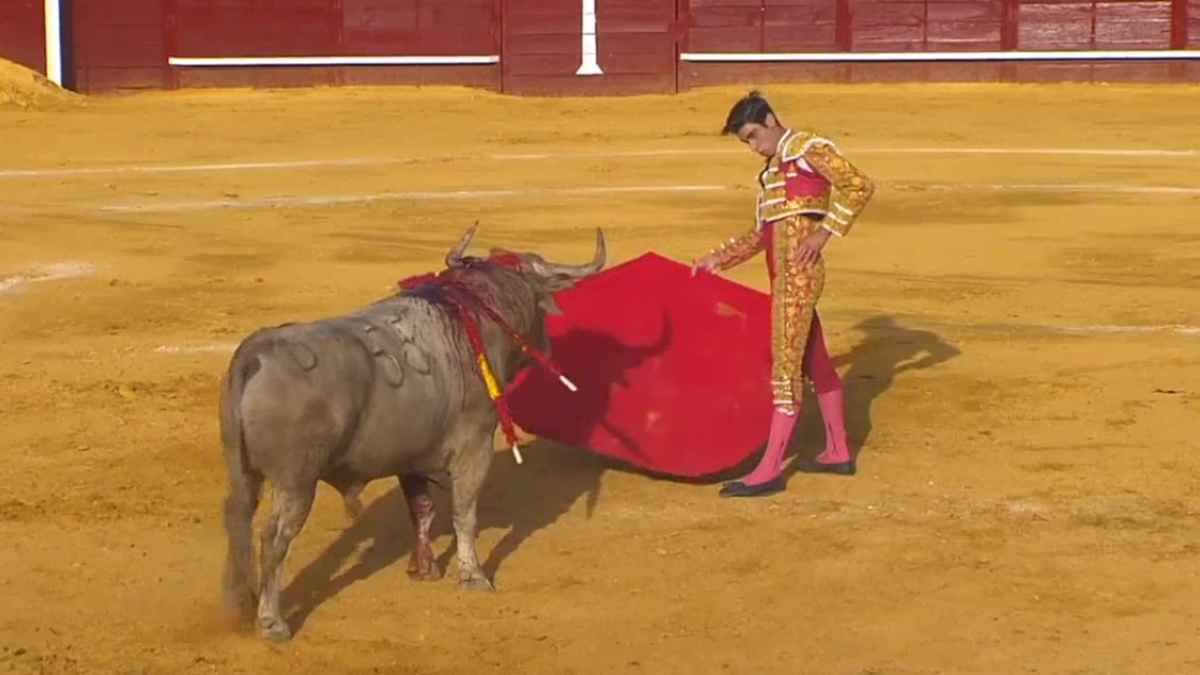 Miguel Ángel Pacheco