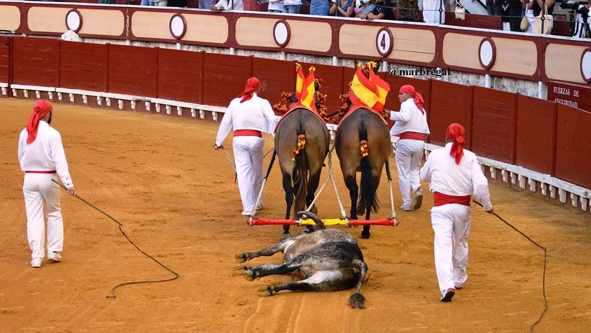 2 Vuelta al Torrestrella