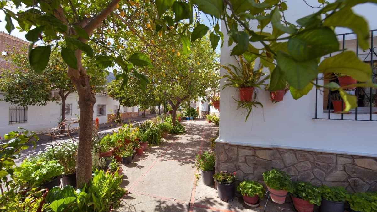 Turismo en San José del Valle