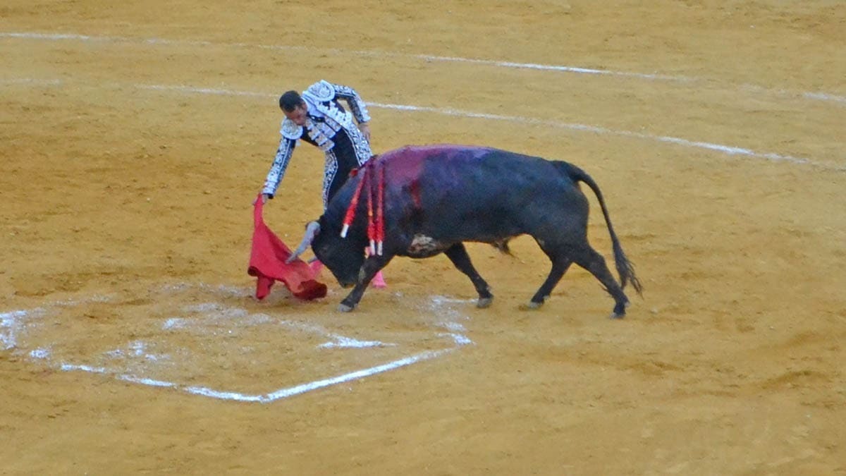 3 Pepe Moral con un miura