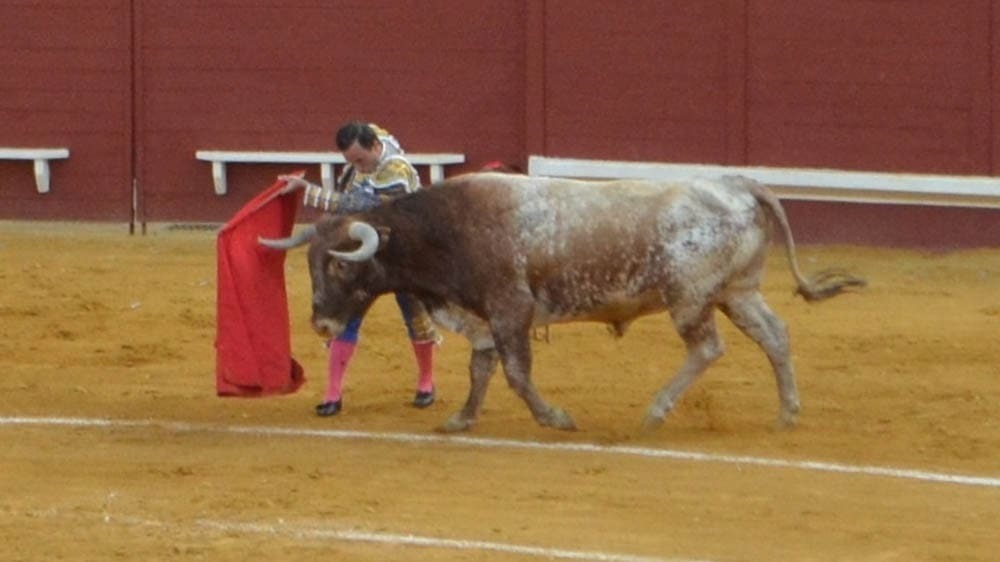 1 Rafaelillo con un miura