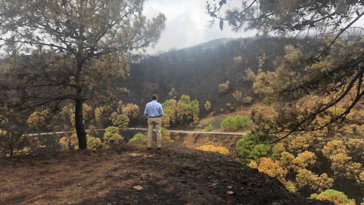 Diseño sin título (2)