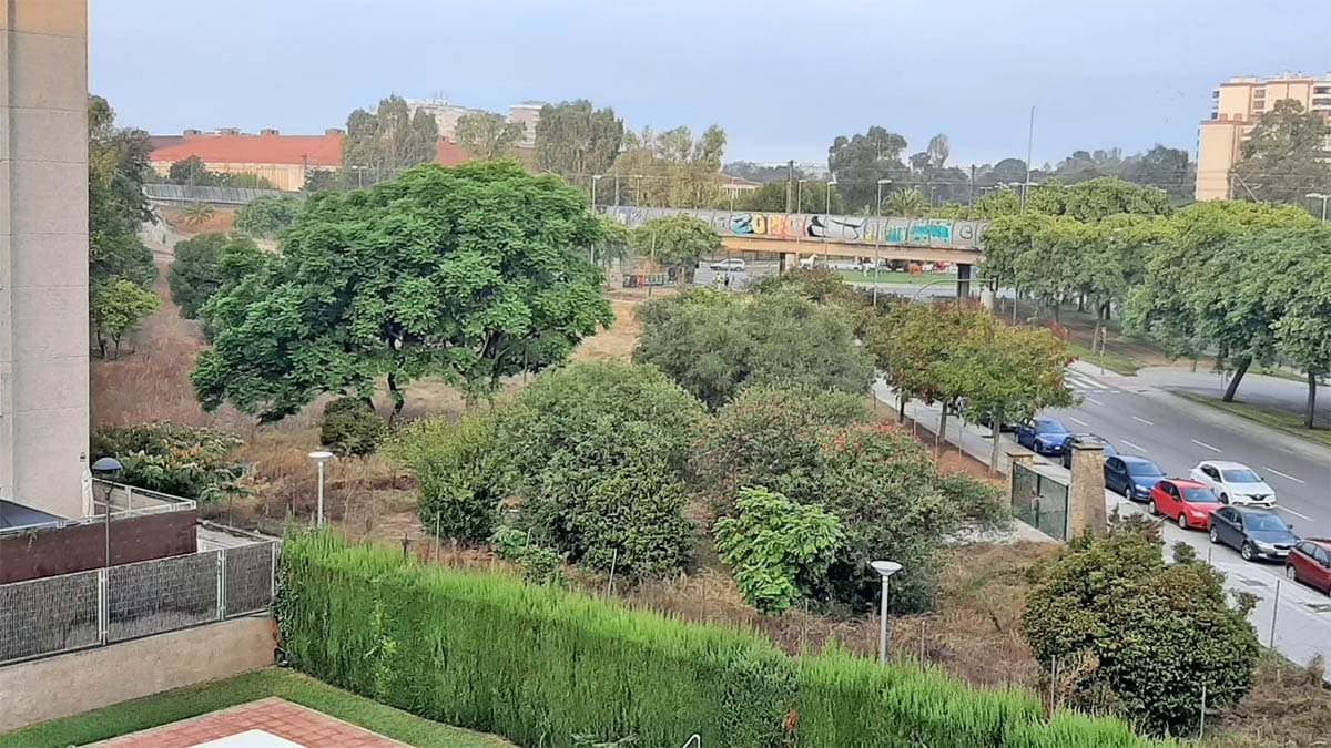 Una urbanización de Jerez llena de ratas que entran desde un descampado que no limpia el Ayuntamiento