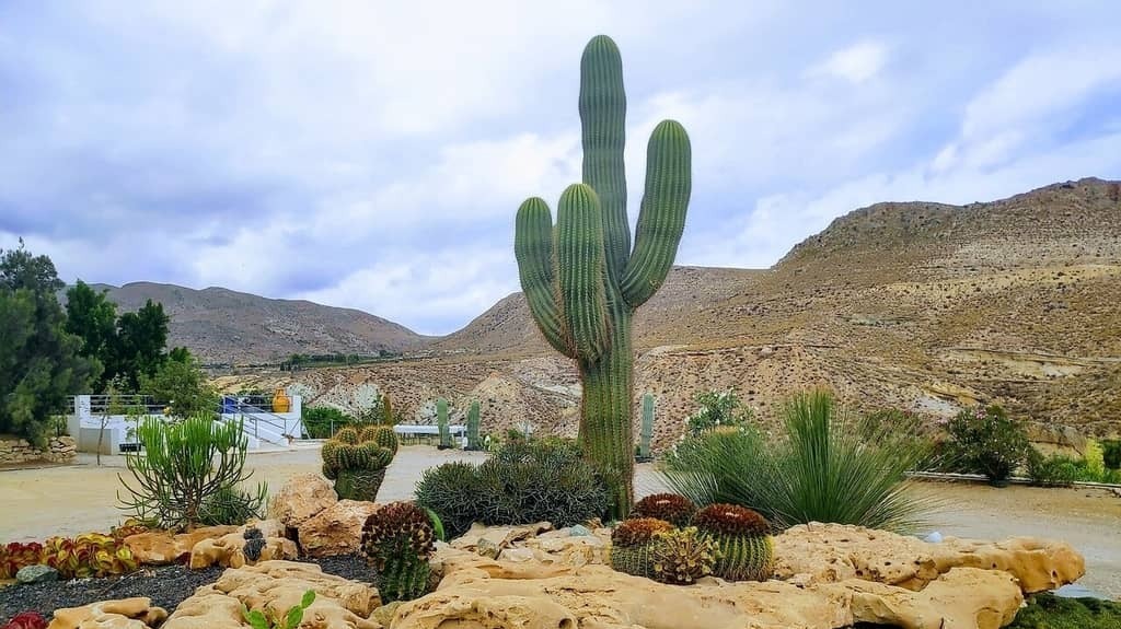 Qué ver en Cabo de Gata: estos son los mejores lugares.