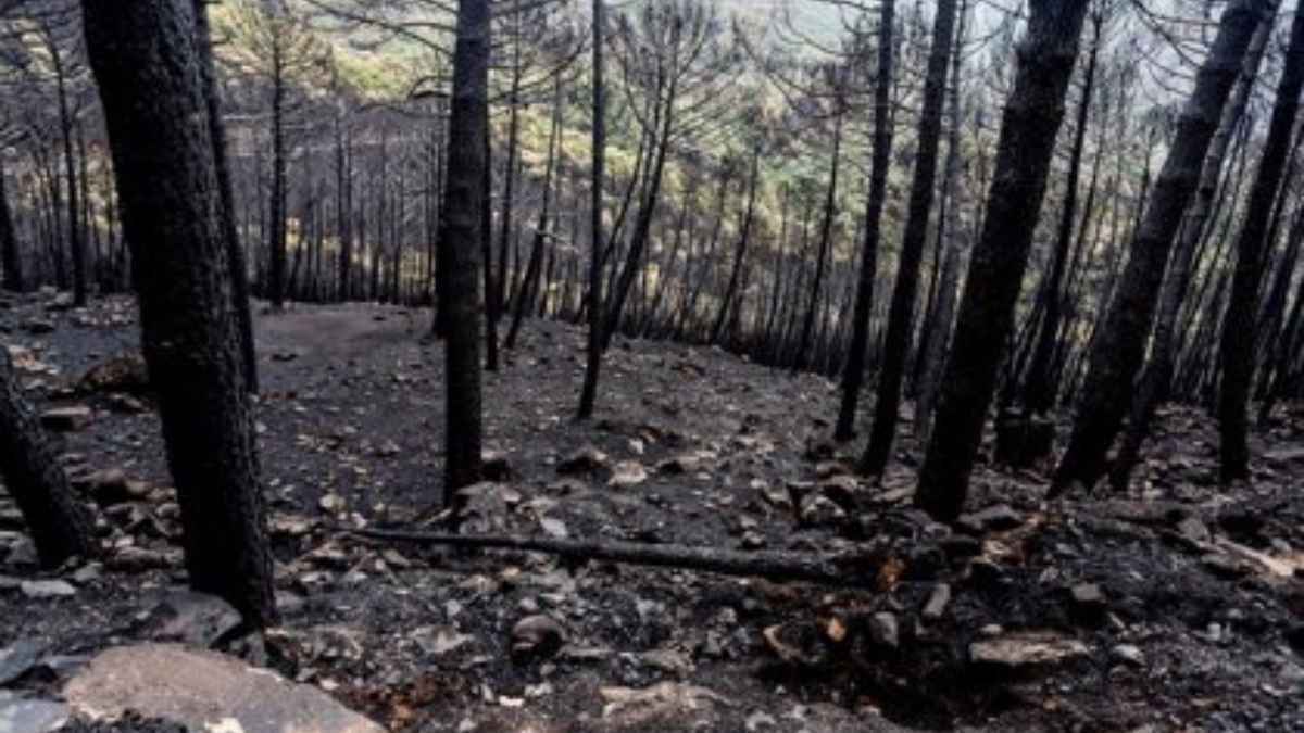 Diseño sin título (87)