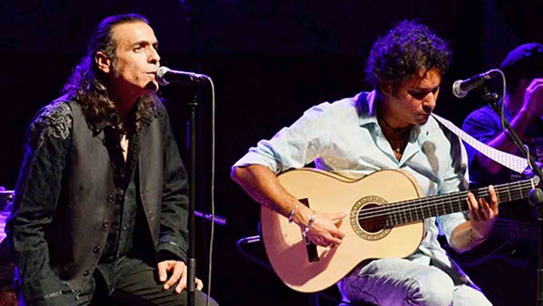 Navajita Plateá en concierto