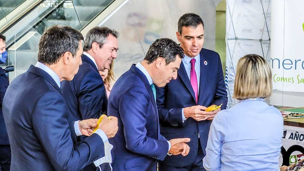 <a  data-cke-saved-href='/tag/pedro-sanchez' href='/tag/pedro-sanchez'
                                       target='_blank'>Pedro Sánchez</a>, <a  data-cke-saved-href='/tag/juanma-moreno' href='/tag/juanma-moreno'
                                       target='_blank'>Juanma Moreno</a> y Juan Espadas en <a  data-cke-saved-href='https://www.elmira.es/seccion/sevilla/' href='https://www.elmira.es/seccion/sevilla/'
                                       title='Sevilla' target='_blank'>Sevilla</a> comiendo un plátano