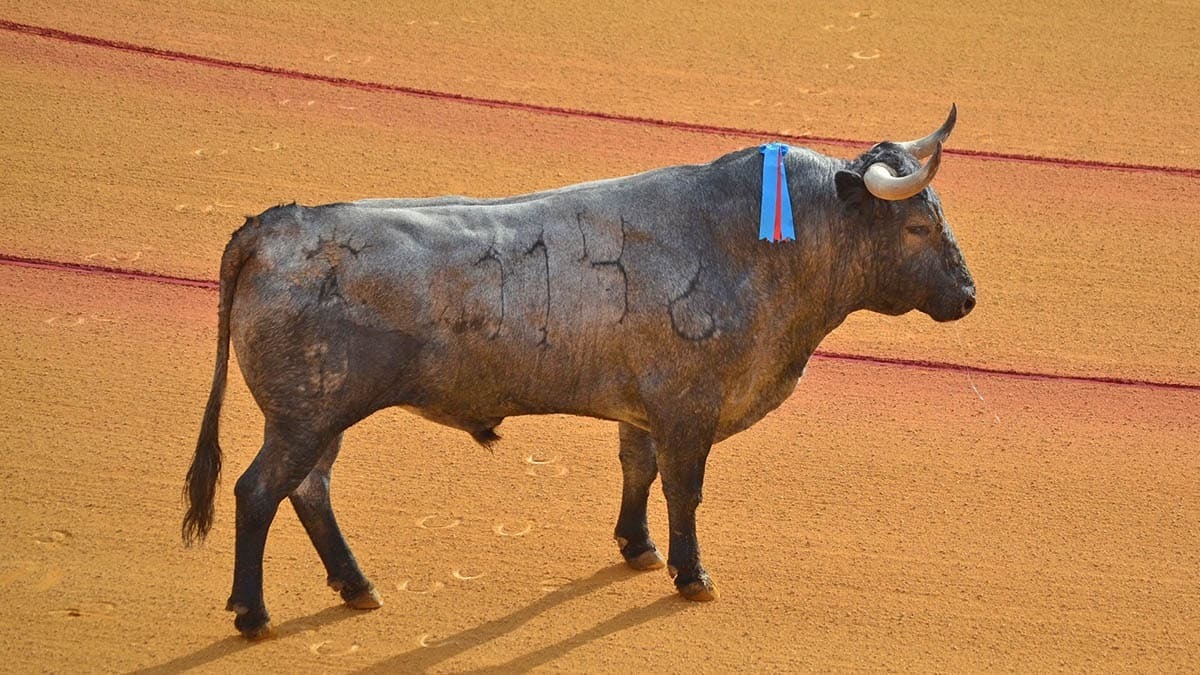 2 Un victorino en Sevilla