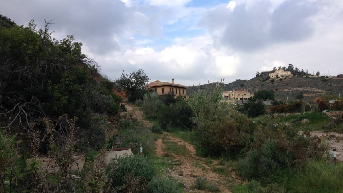 Bédar, en Almería.