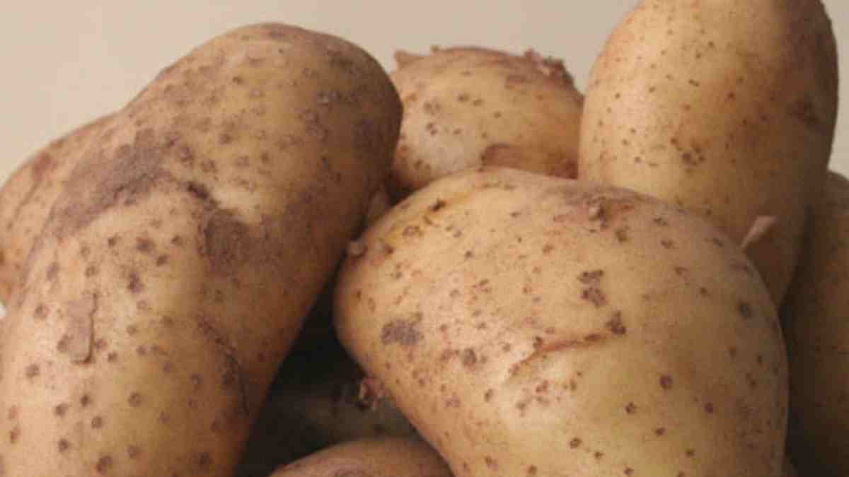 Las patatas de Sanlúcar arrasan en Amazon