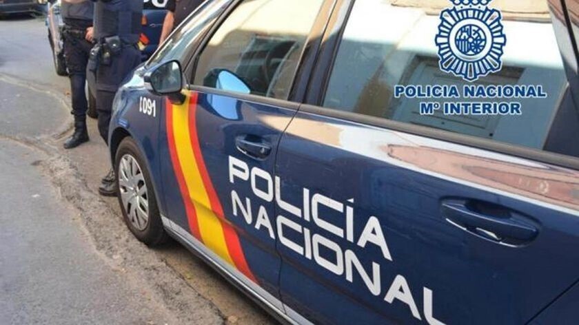 Tres caballos y dos ponis abandonados invaden zonas de pasto en Torreblanca