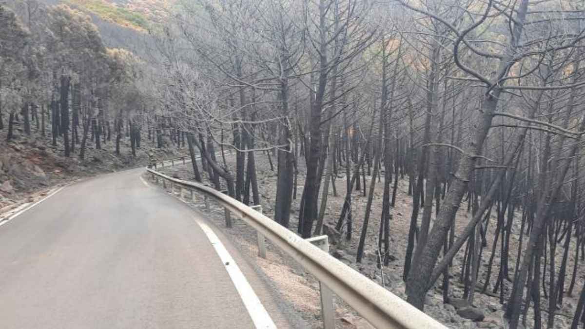 Carretera afectada por el incendio de Sierra Bermeja