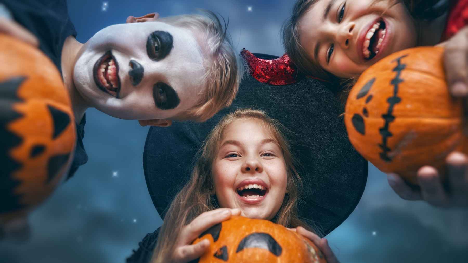 Jerez: 5 propuestas para hacer en el Puente de Todos los Santos