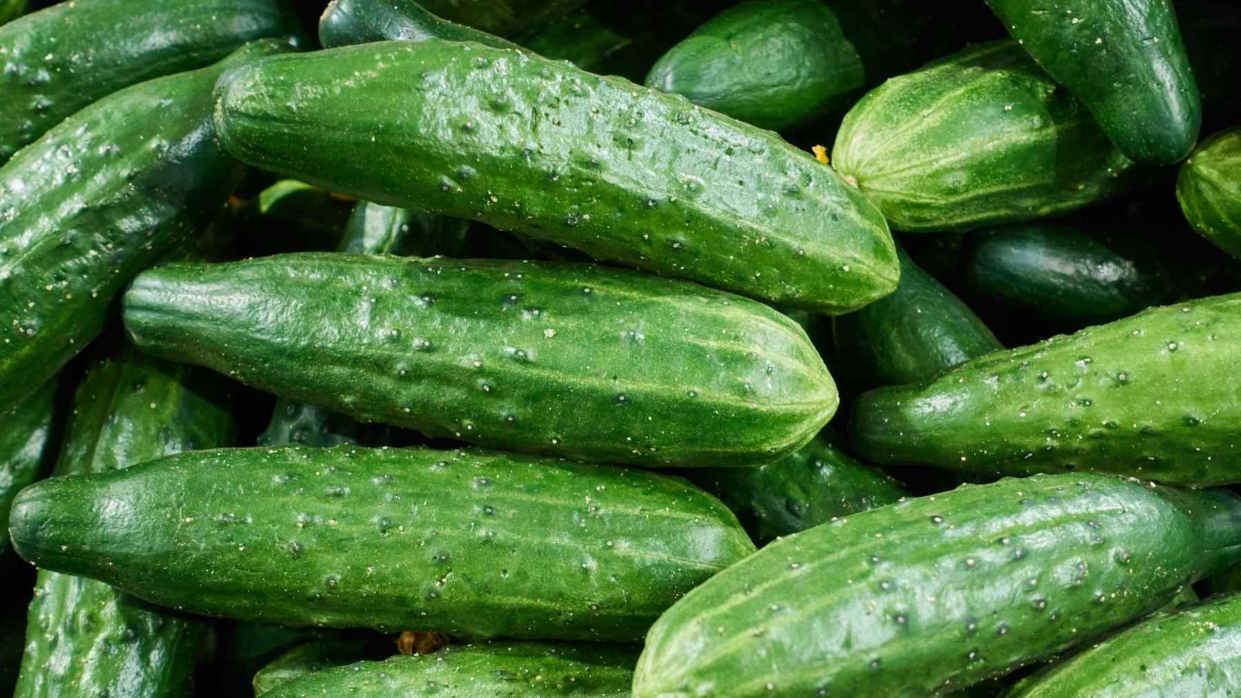 Así el pepino protege tu cerebro