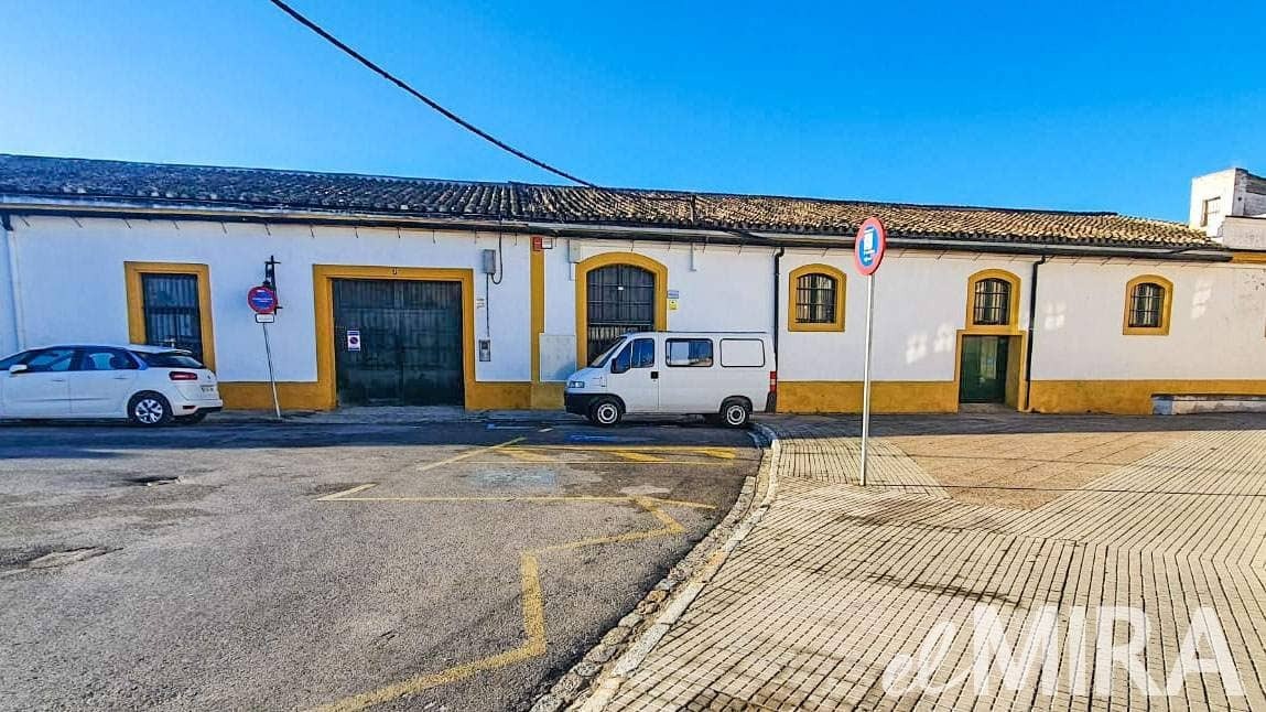 El responsable de la zambomba multitudinaria en Jerez culpa a los medios que publicaron el desalojo -