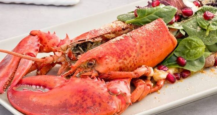 Diseño sin título - 2021-12-03T124411.445