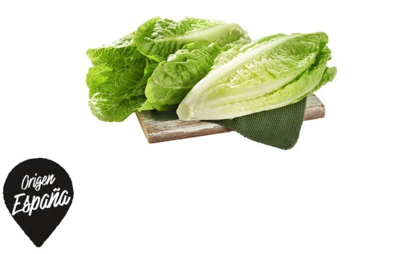 lechuga origen españa lidl