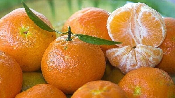 variedades-de-mandarinas