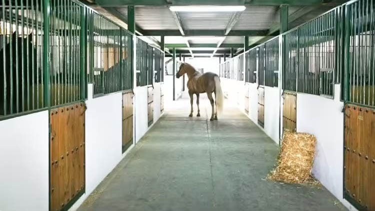 A la venta una mansión en Málaga para vivir al estilo de las estrellas de Hollywood: 12.000 metros cuadrados