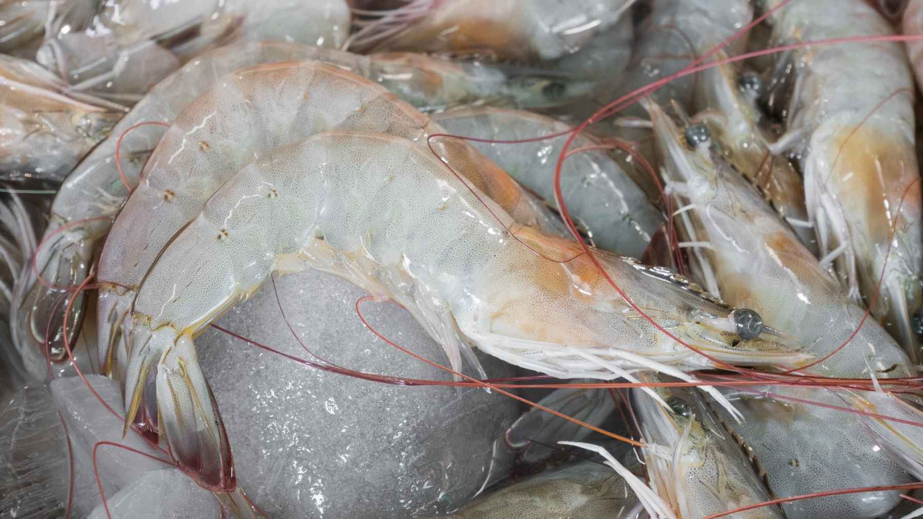 La forma en la que nunca debes descongelar el marisco que compras en Alcampo para Navidad 