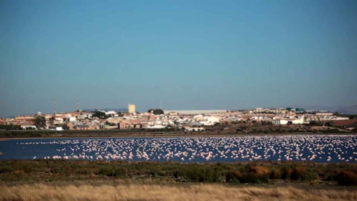 Fuente de Piedra, Málaga