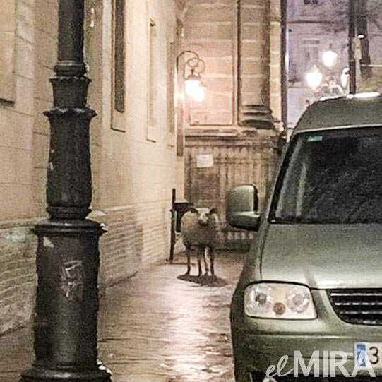 Oveja gigante del Belén de Jerez frente a la iglesia de Santo Domingo
