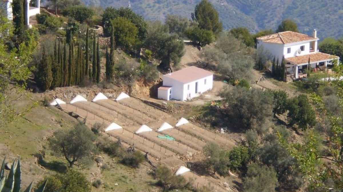 La Diputación de Málaga financia paseros automatizados en Almáchar, Moclinejo y El Borge