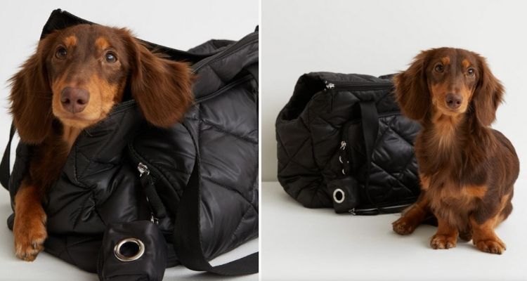 Las rebajas llegan a un bolso de H&M en que puedes llevar tus mascotas y no pasan frío