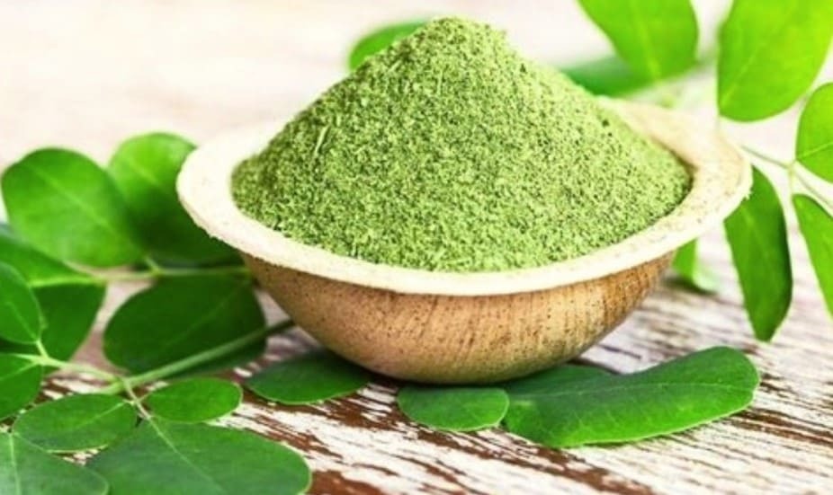 moringa1 (1)