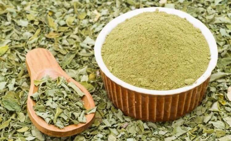 moringa (1) (1)