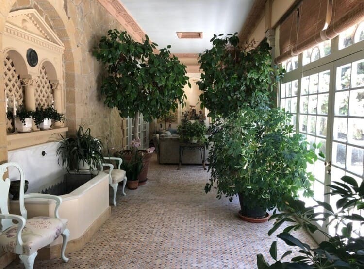 palacio cadiz5 (1) (1)