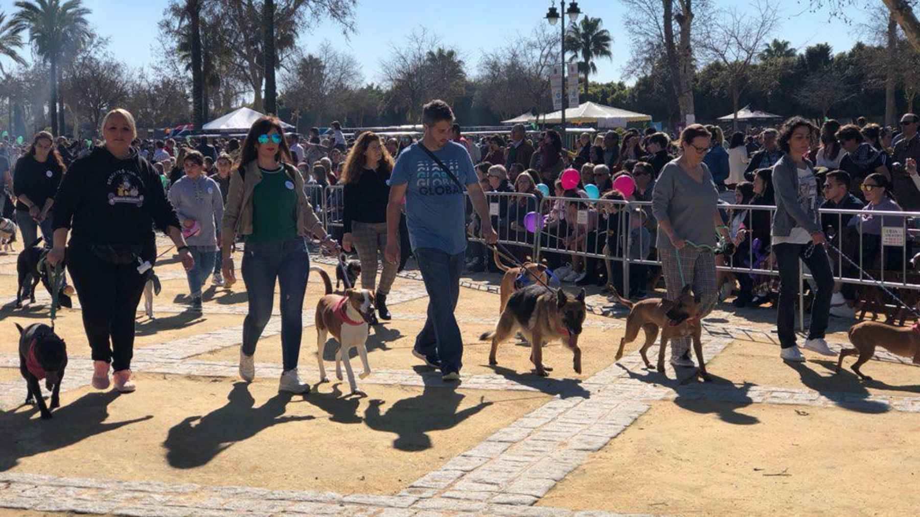 La fiesta de San Antón en Jerez tendrá sabor a Estrella Michelín