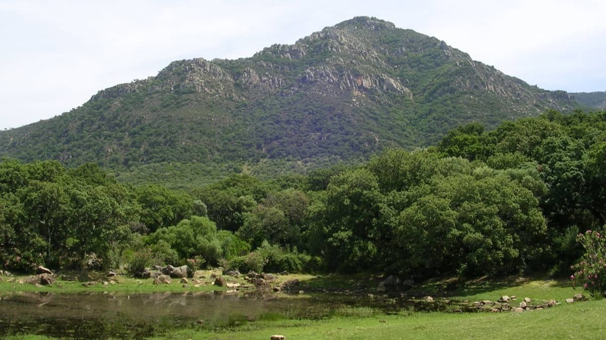 Parque Natural de los Alcornocales: guía para recorrer este gran espacio natural.