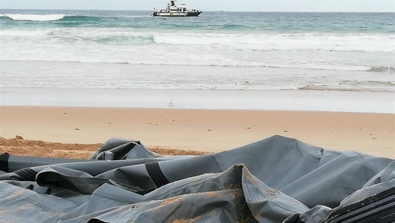 Patera encontrada en el Palmar