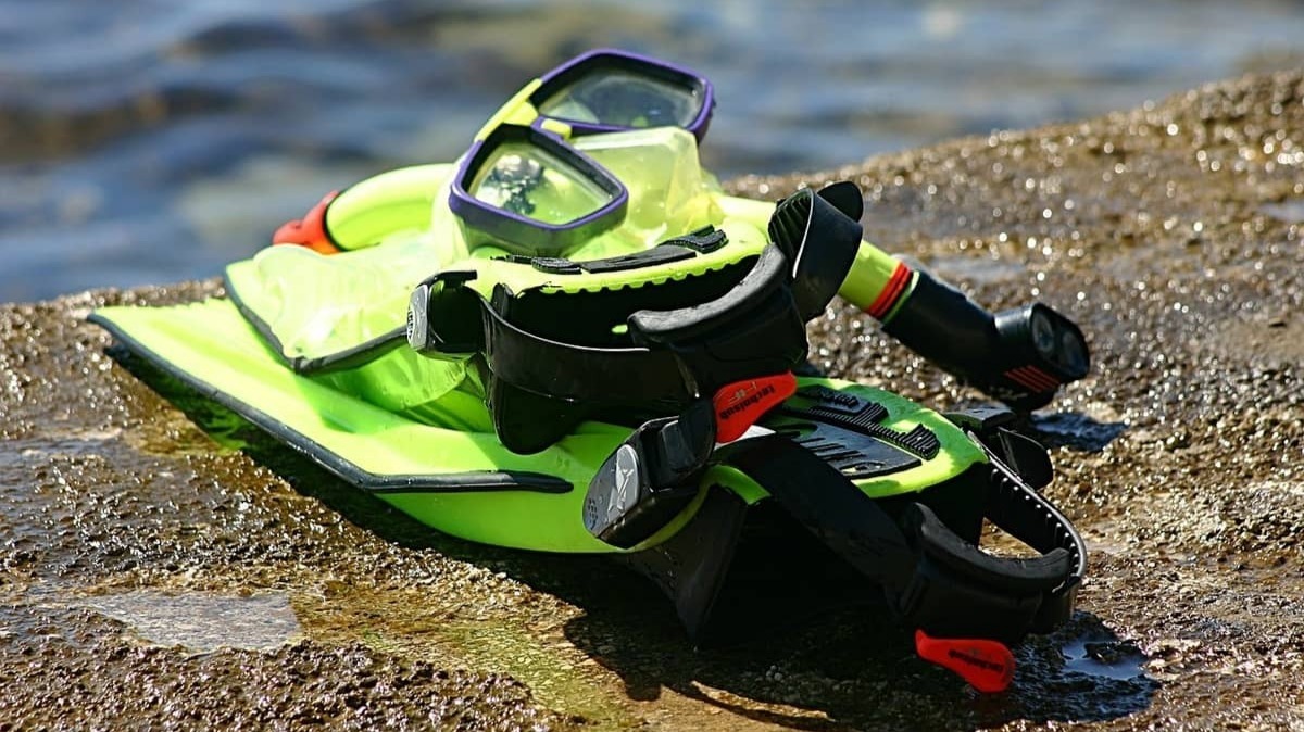 Calas en Cádiz: ¿cuáles son las mejores para hacer snorkel? Foto: Pixabay.
