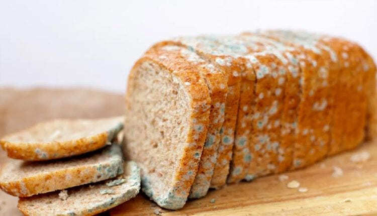 Los tres alimentos que se pueden comer con moho según la OCU