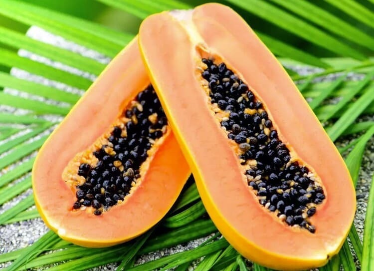 papaya1 (1) (1)