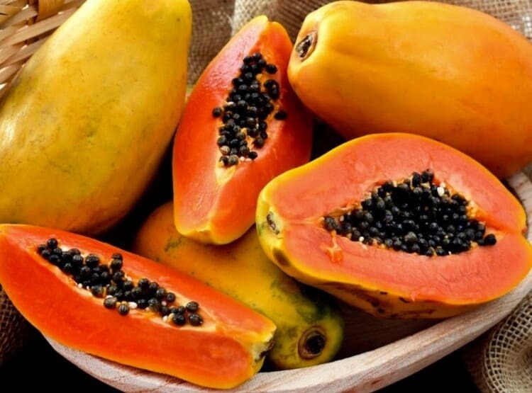 papaya2 (1) (1)
