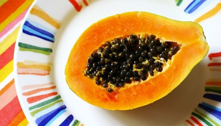 papaya4 (1) (1)