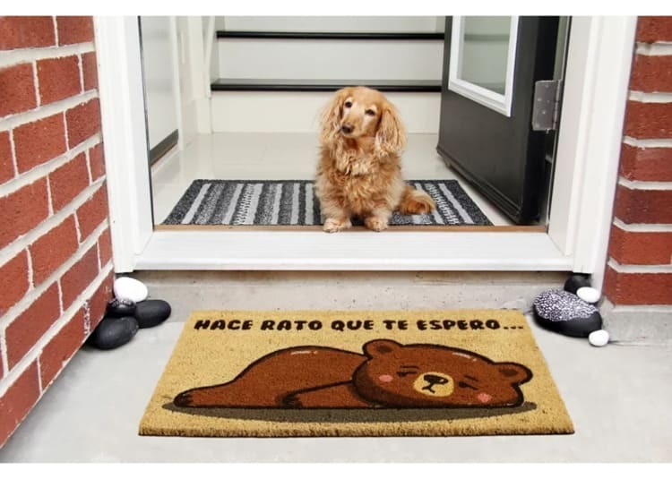 14 felpudos para la entrada de casa con personalidad y que sólo encuentras en Leroy Merlin