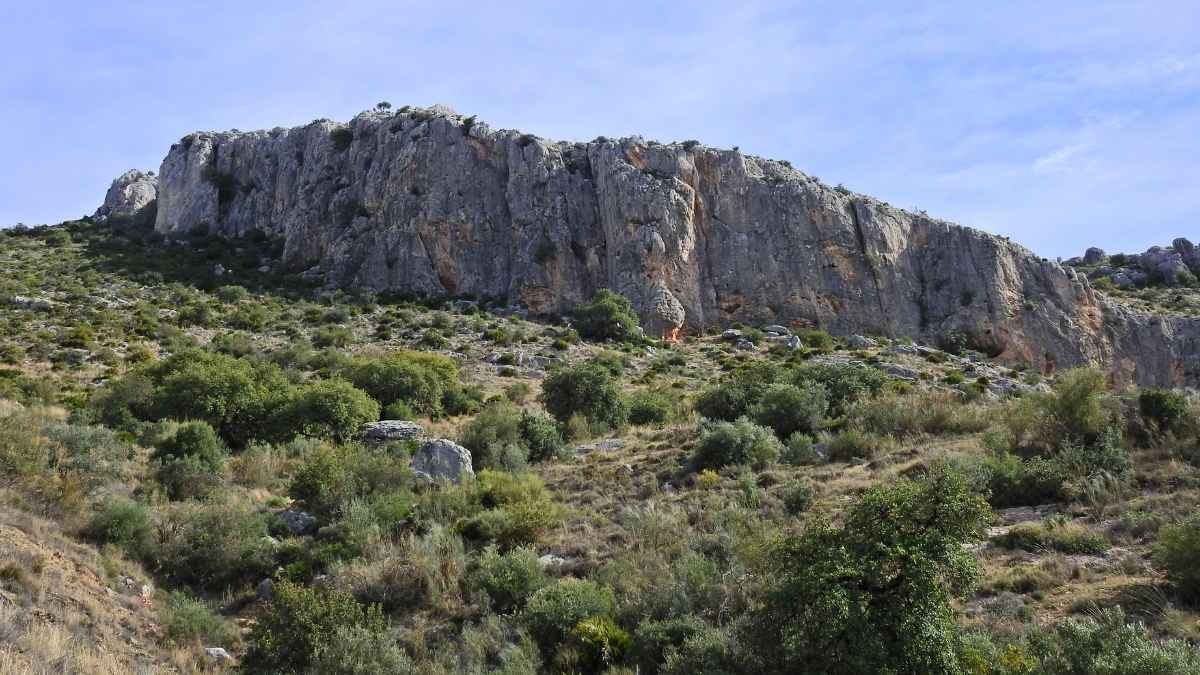Pinares de San Antón, Málaga