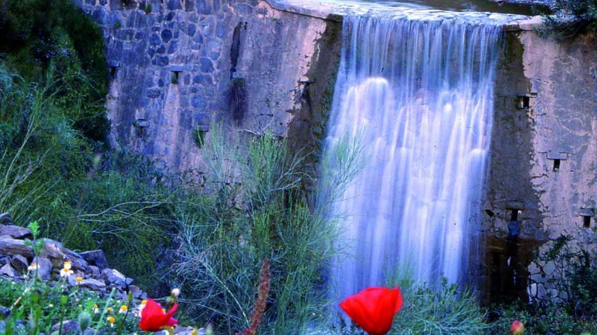 Parque Natural de los Montes de Málaga