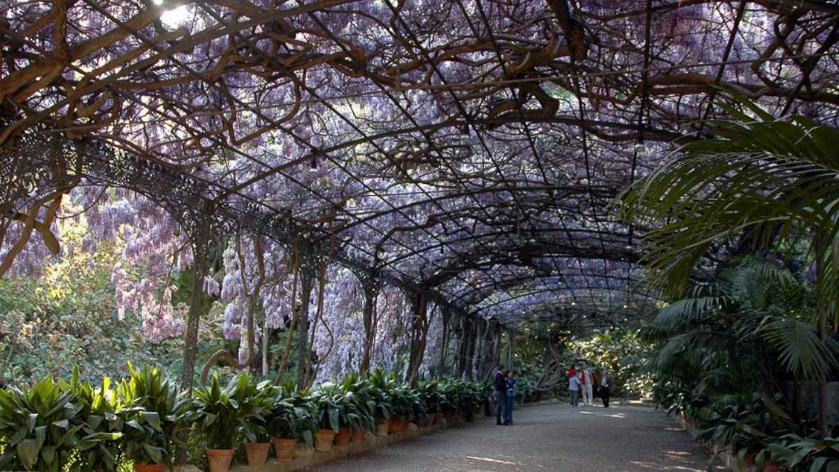 Jardines Botánicos, Málaga