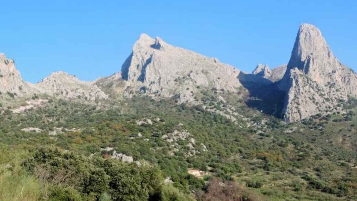 Alfarnatejo, Málaga